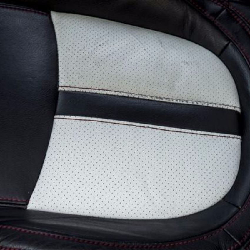 Interior Leather & Vinyl Care Bundle