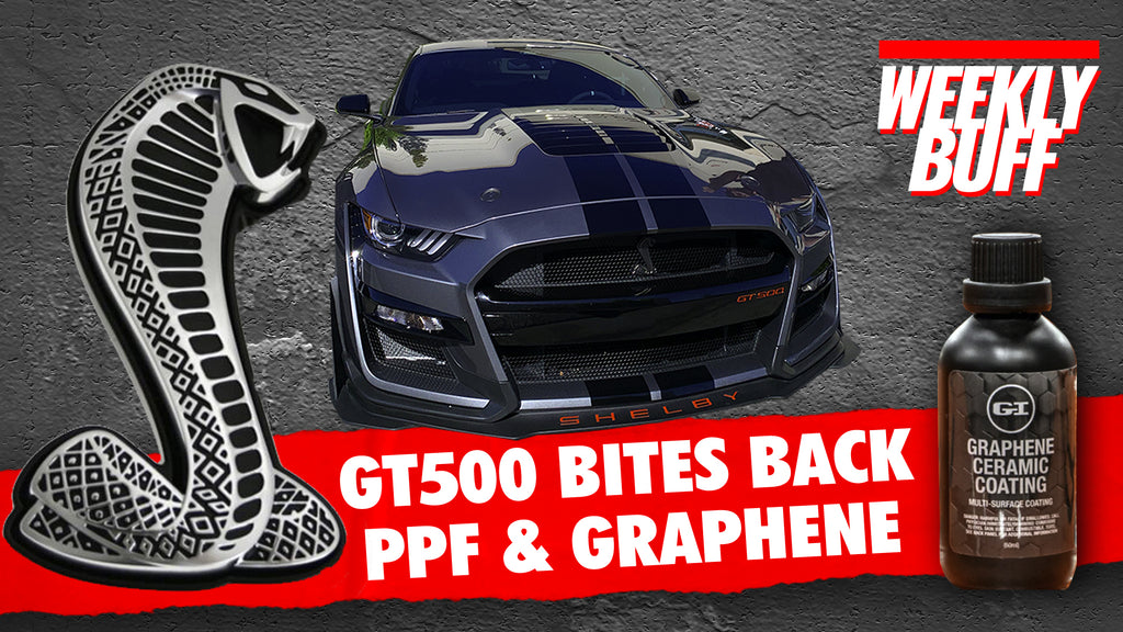 GT500 Bites Back / PPF & Graphene
