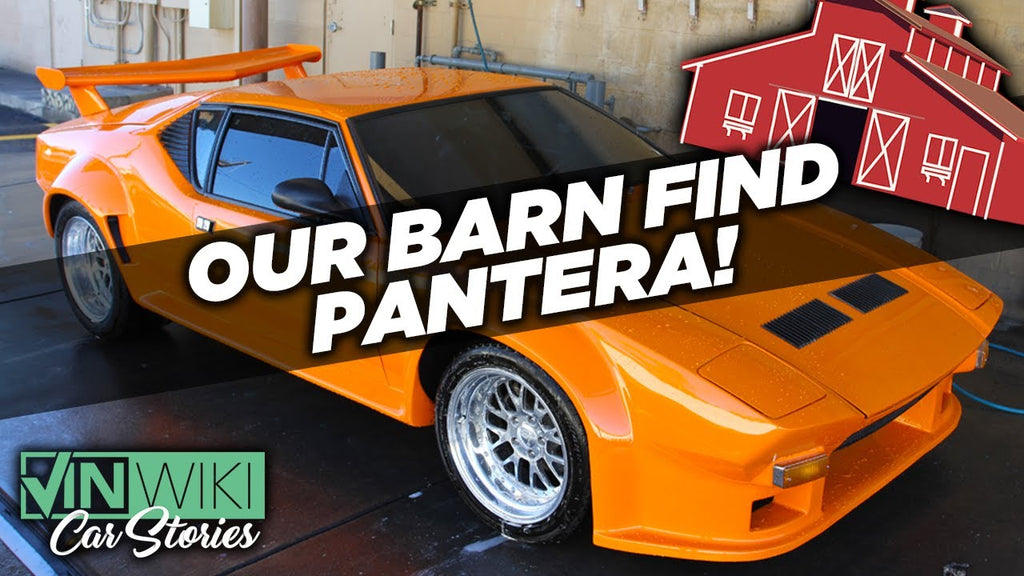 We found a Pantera in a barn!